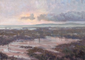 NFS – saltmarsh – medium oil
