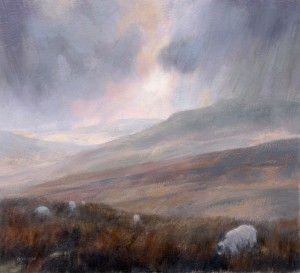 NFS – Wensleydale – medium oil