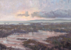 NFS – saltmarsh – medium oil