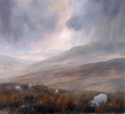 NFS – Wensleydale – medium oil