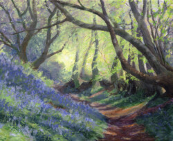 Bluebell path